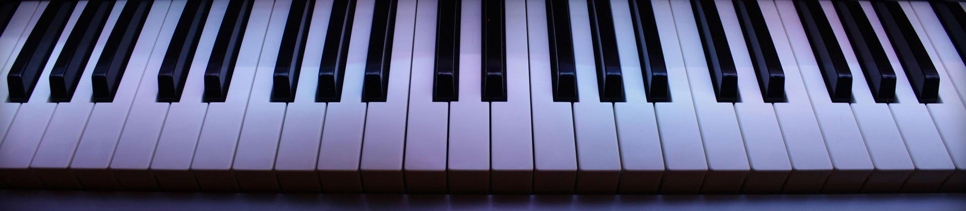 music-11-1 Spider Groove Music