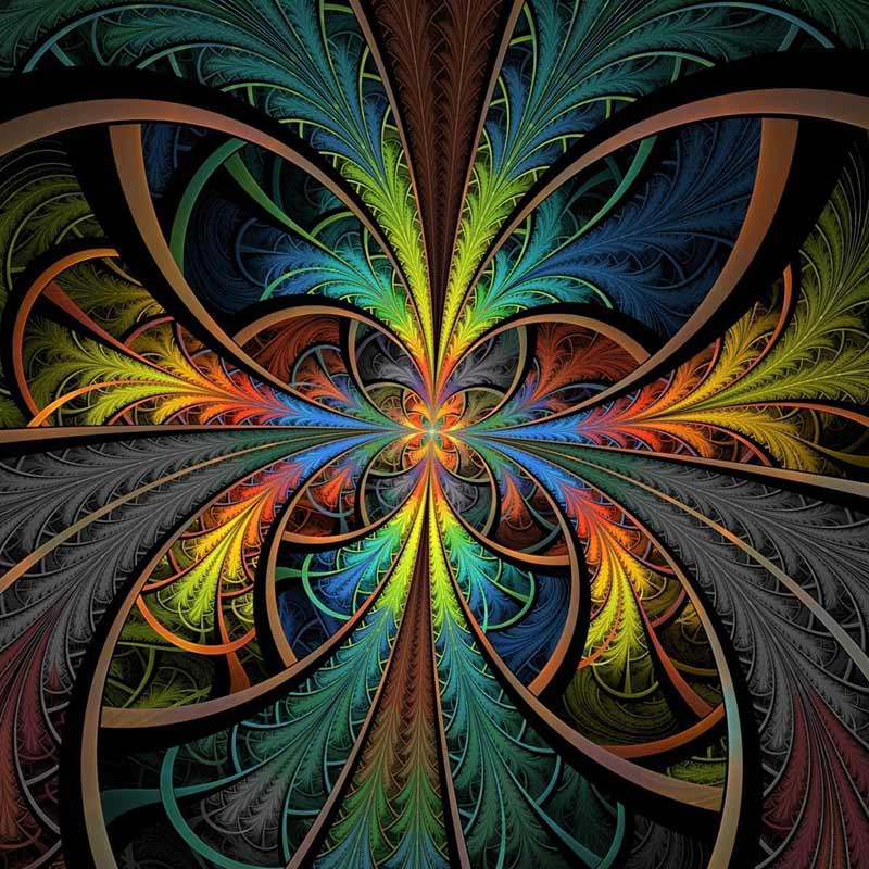 Original songs written by Joe DiDomenico