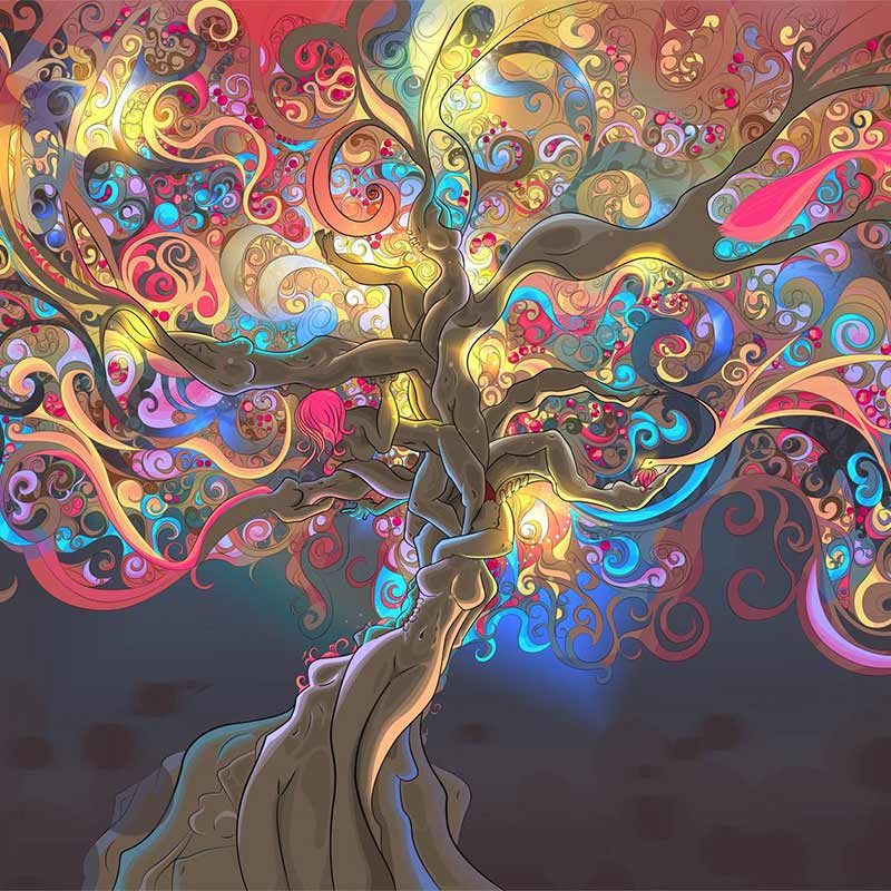 Original songs written by Joe DiDomenico