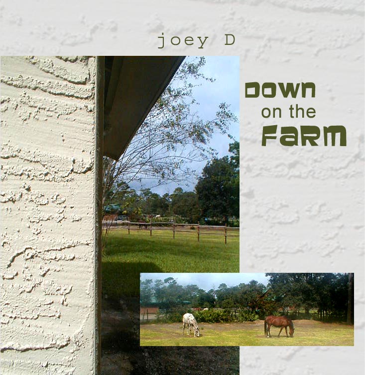 Down on the Farm